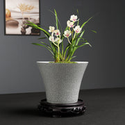 Simple Ceramic Flower Pot Indoor Greenery Pot Ware