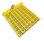 Smart home incubator