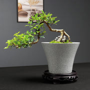 Simple Ceramic Flower Pot Indoor Greenery Pot Ware