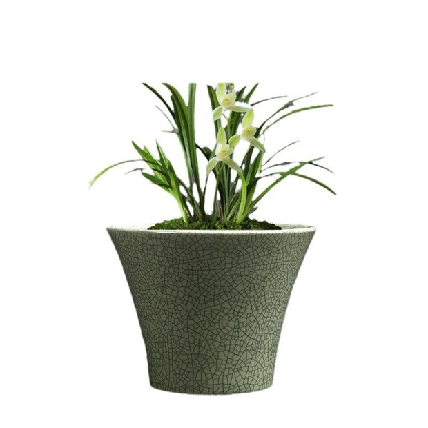 Simple Ceramic Flower Pot Indoor Greenery Pot Ware